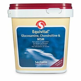 Equivital Glucosamine, Chondroitine &amp; MSM