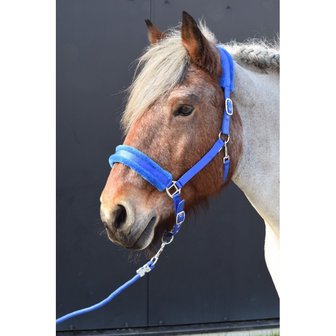 Teddy Halster Trekpaard 