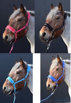 Teddy Halster Trekpaard 