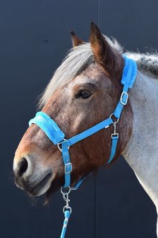 Bevestigen aan organiseren Ga wandelen Teddy Halster Trekpaard - ruitersport artikelen voor een scherpe prijs