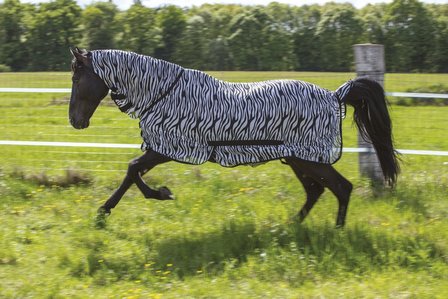 Zebra vliegendeken met hals Riding World