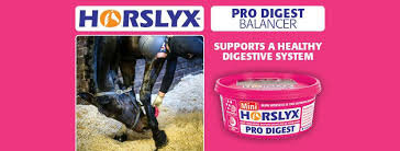 Horslyx Digest Pro Digest