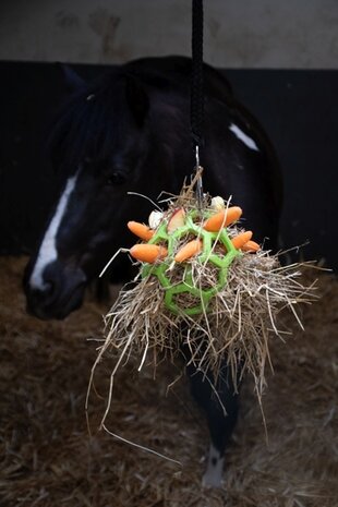 Hay Slowfeeder Fun and flex