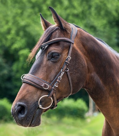 dak patroon duizelig Leren Kaptoom WH - ruitersport artikelen voor een scherpe prijs