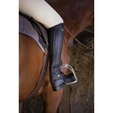 Chaps Equitheme Elite