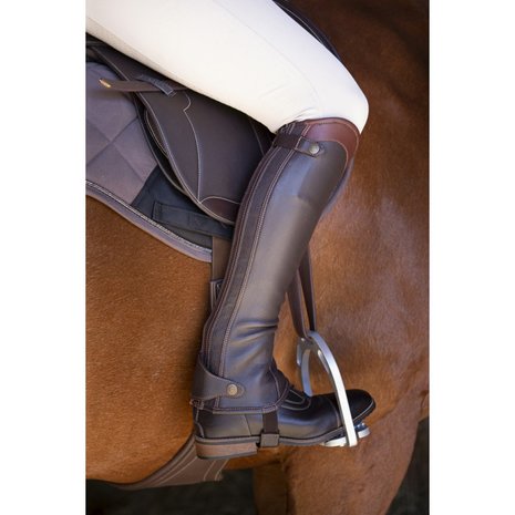 Chaps Equitheme Elite