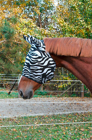 Vliegenmasker Covalliero Zebra