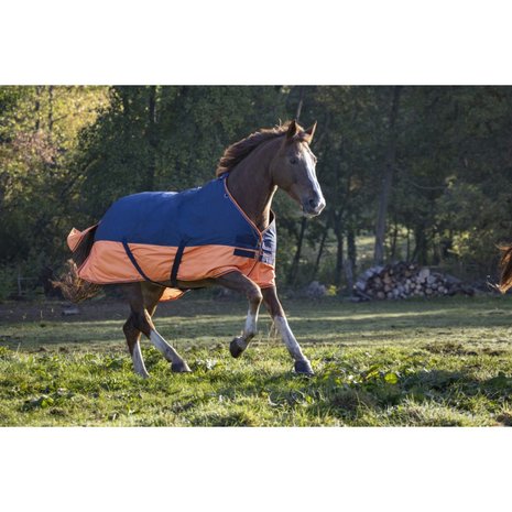 Outdoordeken 150 grams Equitheme Tyrex Navy-Orange