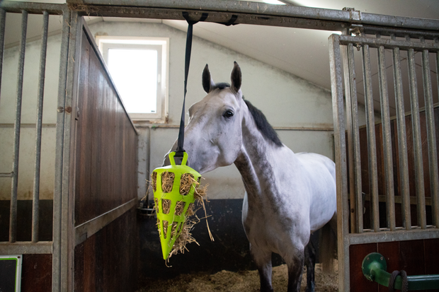 Hay Slowfeeder Fun and Flex Wortel