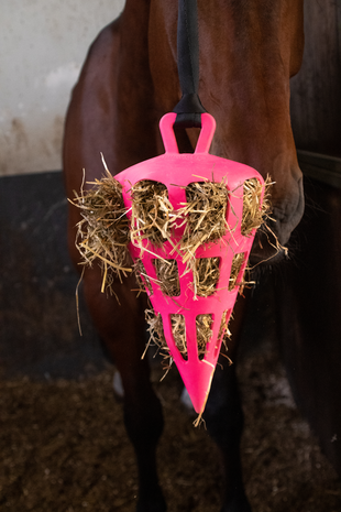 Hay Slowfeeder Fun and Flex Wortel