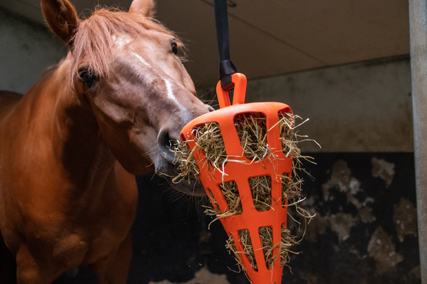 Hay Slowfeeder Fun and Flex Wortel