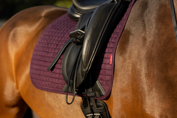 LeMieux Luxury Dressage Suede squares: Fig