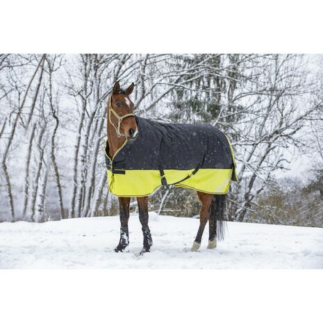 Regendeken Equitheme Tyrex Reflective 150 grams nylon gevoerd