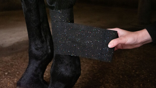 Vetwrap Bandage Animal Glitter Profi 10 cm