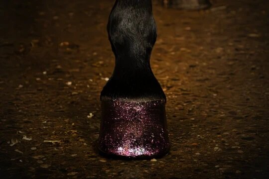 Paardenpraat Glitter Hoeflak