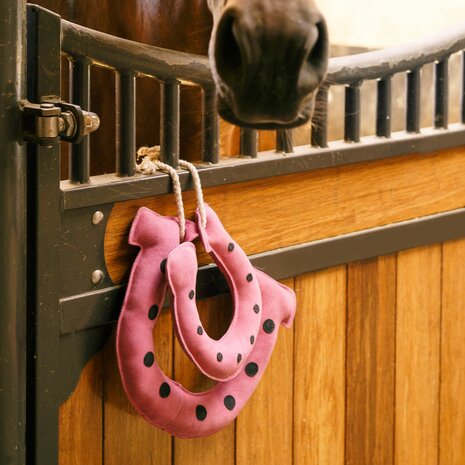 Imperial Riding Stable Buddy Horseshoes