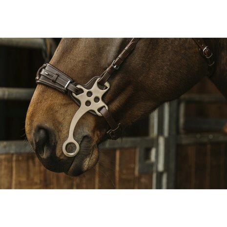 Hoofdstel Norton Pro Hackamore