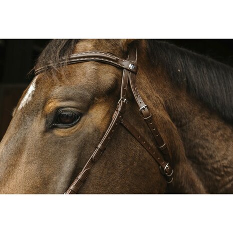 Hoofdstel Norton Pro Hackamore