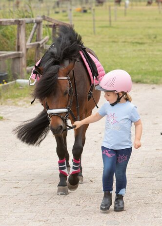 Hoofdstel HH Diva Stella 