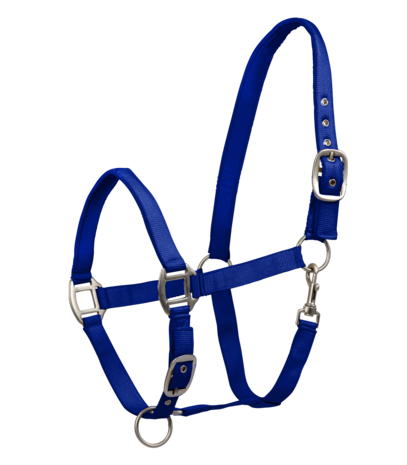 Halster WH Satin Saphire Blue