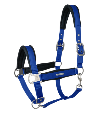 Halster WH Mesh  Saphire Blue