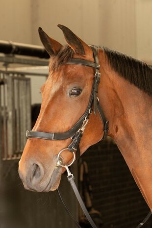 Kaptoom/hoofdstel leder Anatomisch HH