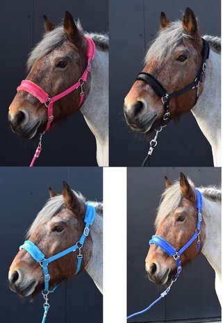 Teddy Halster Trekpaard 