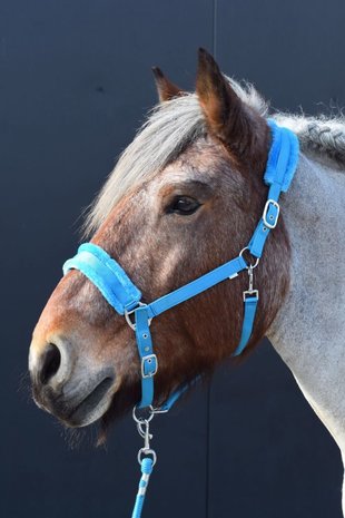 Teddy Halster Trekpaard 
