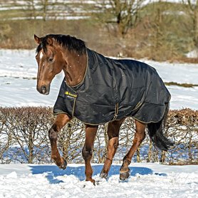 Bucas Irish Turnout Light/50 Highneck