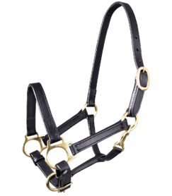 WH Veulenhalster leer