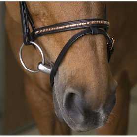 Hoofdstel Norton Pro Clincher