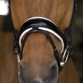 Hoofdstel Norton Pro Bella