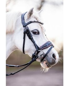 Hoofdstel  HB Showtime Special A-Pony Roze