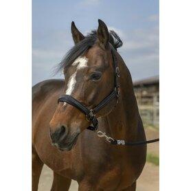 Halster Norton Strass