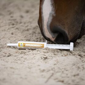 VITALstyle Immunoboost+ pasta