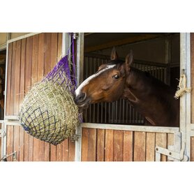 Hippotonic  Tricolor Hooinet