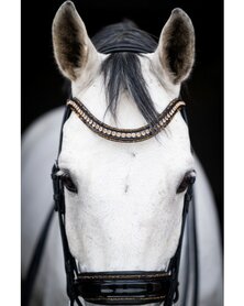 Stang en Trens Hoofdstel HB Showtime All You Needed Zwart goud