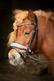 Hoofdstel HH Diva Rainbow