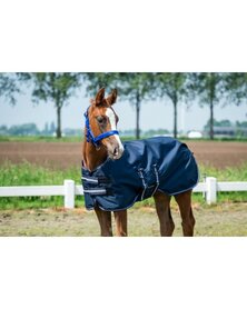 HB Showtime veulen deken