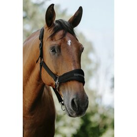 Equitheme 3D Mesh halster