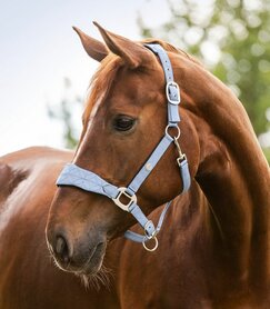 Halster WH Rom Pastel Blue