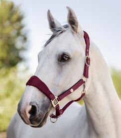 Halster WH Rom Velvet Red