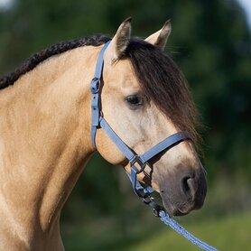 Halster IRHClassic sport Moonstone