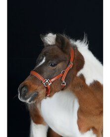 HB Showtime halsters little sizes leer Cognac