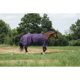 50 grams Regendeken Equitheme Tyrex Aisance plum