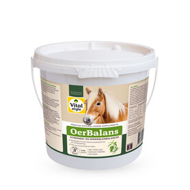 VitalStyle OerBalans BROK 4kg