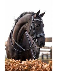 HB Showtime Stang en Trens One in a Million Zwart-Zwart