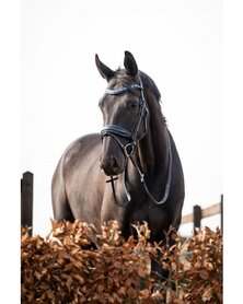 HB Showtime It is So Special Zwart-navy glitter