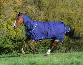 Bucas Atlantic Exclusice Turnout Light + Neck