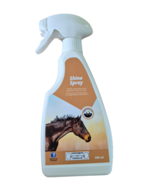 RuitersportRuinen Shine Spray 500ml